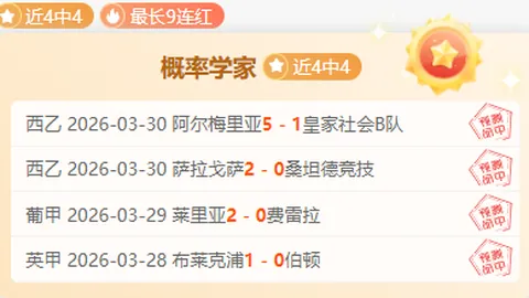 意甲球星C罗贡献显著，专家帕拉蒂奇高度评价